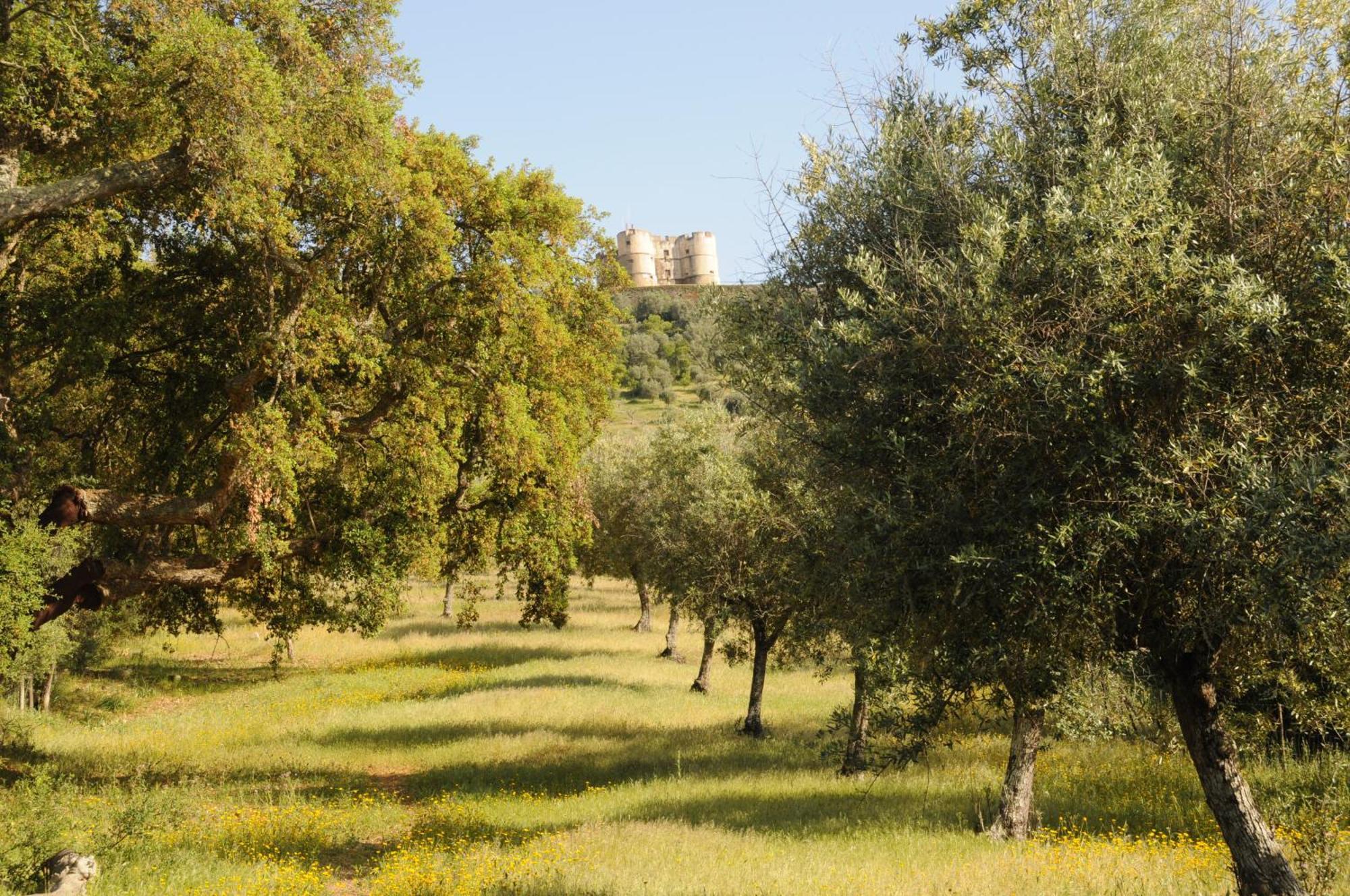 Quinta De Evoramonte Villa Estremoz Bagian luar foto